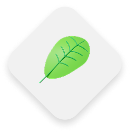 Carbon Footprint