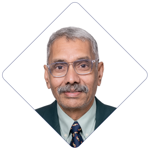 A.N. Visweswaran